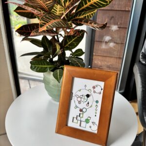 Kan kaniner sættes i banken?